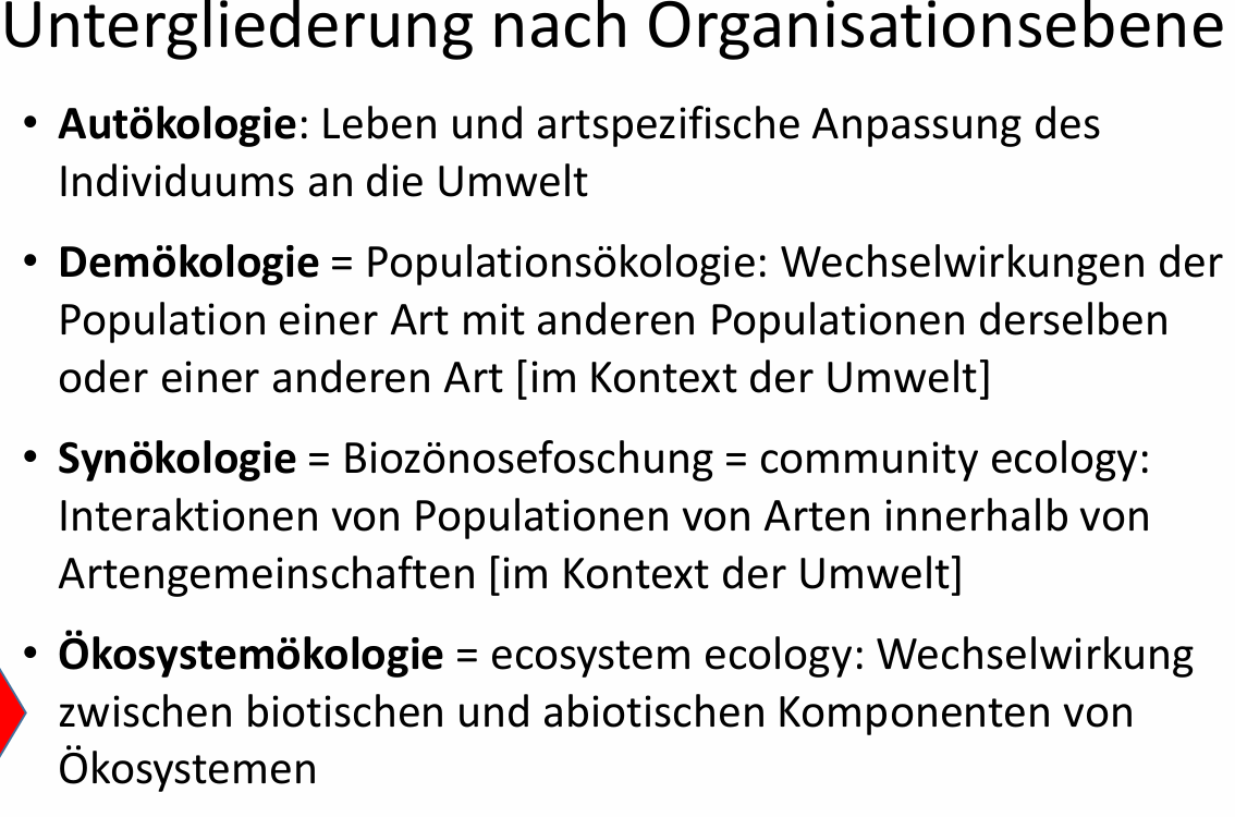 <ul><li><p>Autökologie: Leben und artspezifische Anpassungen des Individuums an Umwelt</p></li><li><p>Demökologie: Populationsökologie, Wechselwirkungen von Population einer Art mit anderer Population derselben oder einer anderen Art</p></li><li><p><span style="color: rgb(247, 13, 13);">Synökologie: Interaktionen von Populationen von Arten innerhalb von Artgemeinschaften</span></p></li><li><p>Ökosystemökologie: Wechselwirkungen zwischen biotischen und abiotischen Komponenten von Ökosystemen</p></li></ul><p></p>