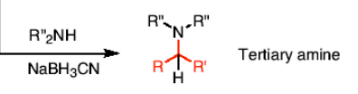 <p>R’’2NH and a reducing agent<span style="color: rgb(0, 0, 0);"> (NaBH3CN) </span></p>