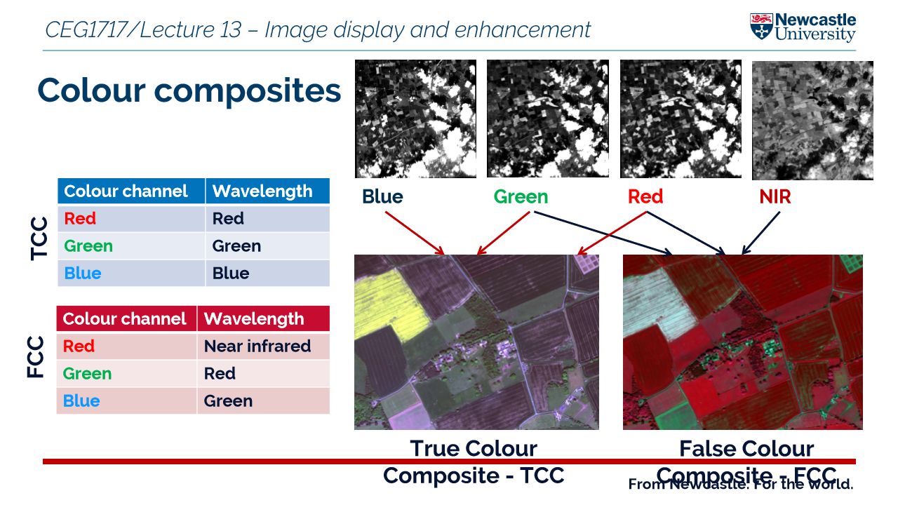<p>displays non visible wavelengths like IR - the colours do not represent what the human eye sees </p>