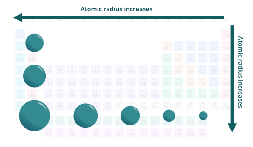 <ul><li><p>half the distance between the nuclei of two identical atoms between the nuclei of two identical atoms bonded = d/2</p></li><li><p>increases from R to L across a period and increases going down a group</p><ul><li><p>anions have larger radii compared to cations (anions have more e<sup>-</sup> in the outer shell)</p></li><li><p>isoelectronic series → have the same number of e<sup>-</sup> but a different number of protons</p></li><li><p>ex: Ca<sup>+2</sup> < K<sup>+1</sup> < Ar < Cl<sup>-</sup> < S<sup>-2</sup> </p></li></ul></li></ul><p></p>
