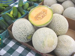 <p>melon</p>