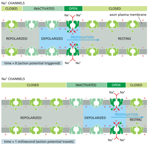 <p>What is this? </p>