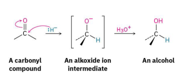 <p>Hydride attacks carbonyl carbon.</p><p>Carbonyl opens.</p><p>Makes alkoxide.</p><p>Then</p><p>Acidic workup</p><p>adds H.</p><p>Alcohol formed.</p><p><strong>Hydride ALWAYS attacks carbon.</strong></p>