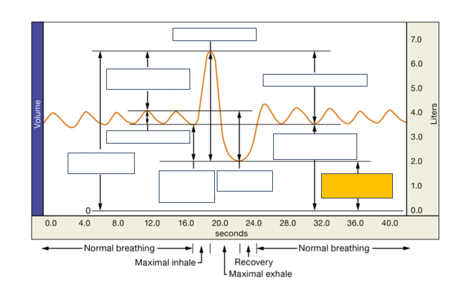 <p>name and def.</p>