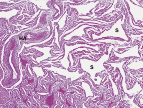 <p>What is this?</p>