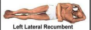 <p>Left lateral recumbent, laying on left side</p>