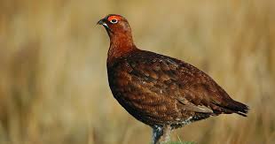 <p>Mis on pildil?</p>