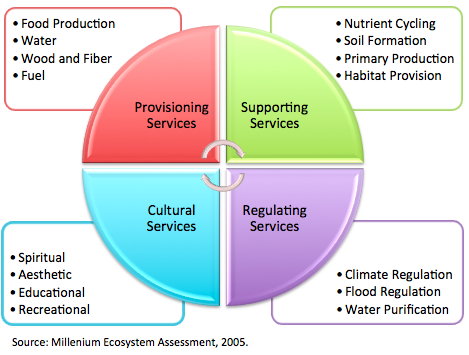 <p>Food, water, fuel wood, fiber, and biochemicals.</p>