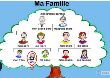 <p>aile</p>