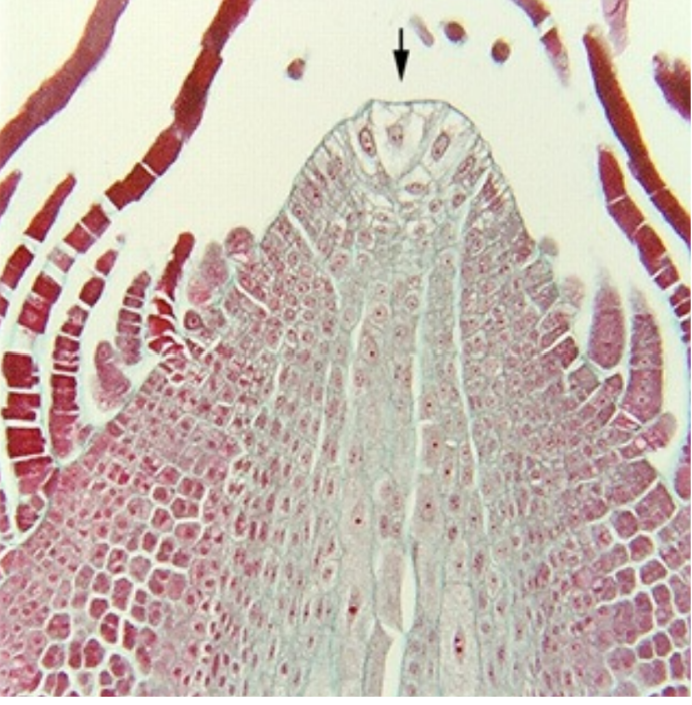 <p>What is this and what type of organization is it and what does it do? </p>