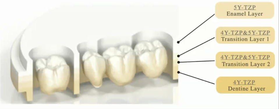 <p>made up of different compositions of zirconia </p>