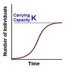 <p>Depicted by an S-shaped curve, where population growth slows as it approaches carrying capacity due to limiting factors.</p>