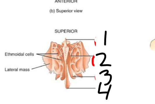 <p>2</p>