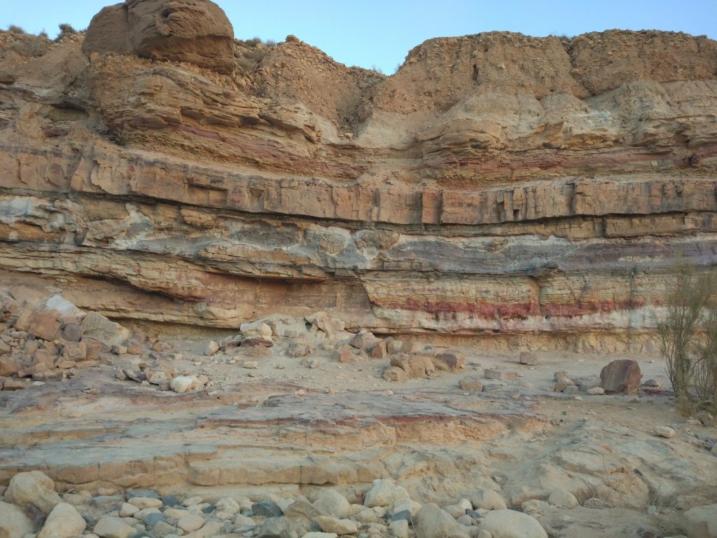 <p>travel along bedding planes </p>