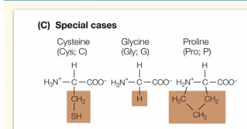<p>What are the characteristics of generally hydrophobic aa?</p>