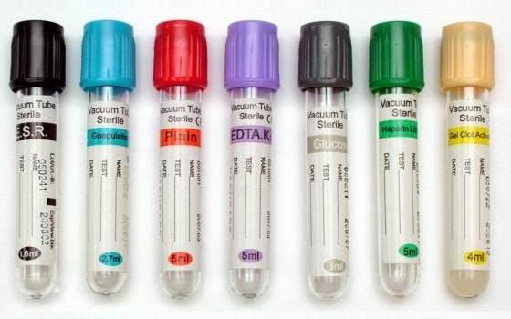 <p>Blood Collection tube</p>