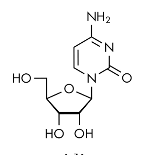 <p>nucleoside or nucleotide?</p>