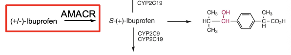 <ul><li><p>Given as <strong>racemic mixture (R/S)</strong></p></li><li><p><strong><mark data-color="#00e7e8" style="background-color: rgb(0, 231, 232); color: inherit;">R → S conversion via AMACR</mark></strong><mark data-color="#00e7e8" style="background-color: rgb(0, 231, 232); color: inherit;"> → active form (S-ibuprofen)</mark></p></li><li><p>S-form = pharmacologically active; R-form is largely inactive</p></li><li><p>Metabolism occurs <strong>before CYP oxidation to inactive metabolites</strong></p></li></ul><p></p>