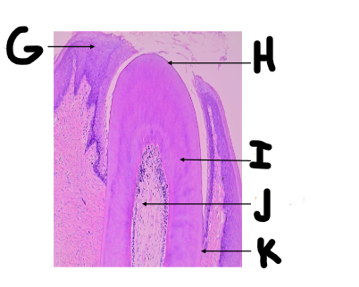 <p>what is I? </p>