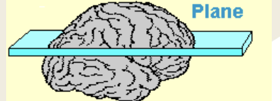<p></p>