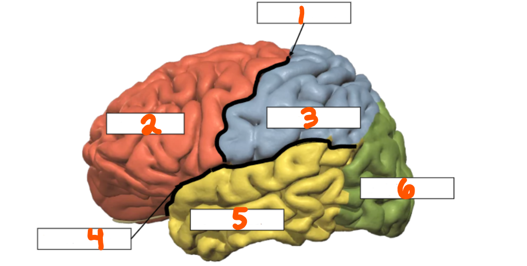 <p>1</p>