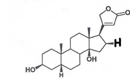 <p>quem é? de que planta se extrai esta genina + as 3 desoxioses?</p>