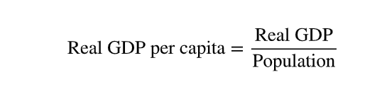 <p>Real output per person in a country.</p>