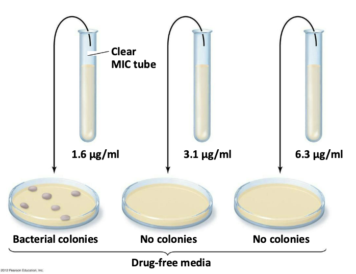 <ul><li><p>A minimum bactericidal concentration (MBC) test</p><ul><li><p>1.6 μg/mL – bacteriostatic concentration</p></li><li><p>3.1 μg/mL – bactericidal concentration</p></li></ul></li></ul><p></p>