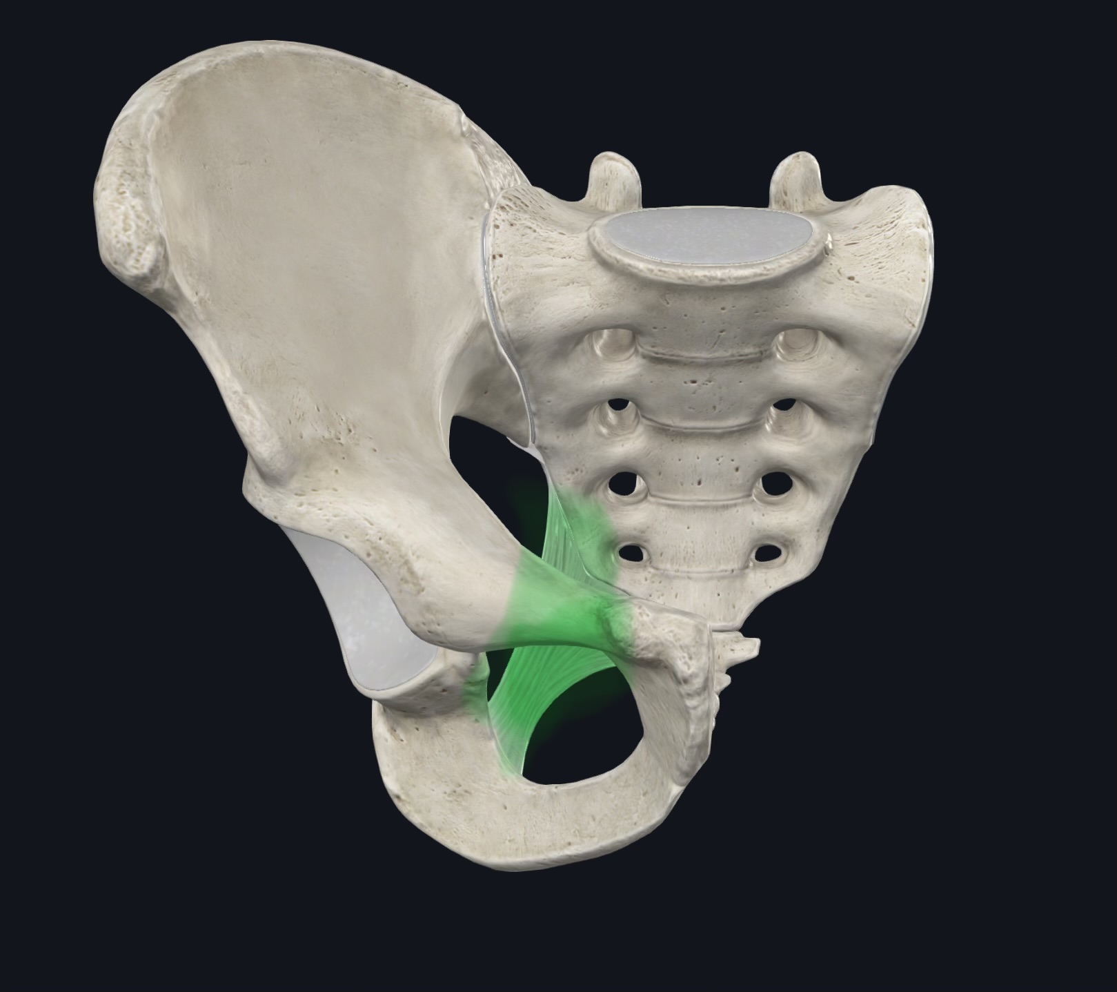 <p>¿Qué es esto?</p>