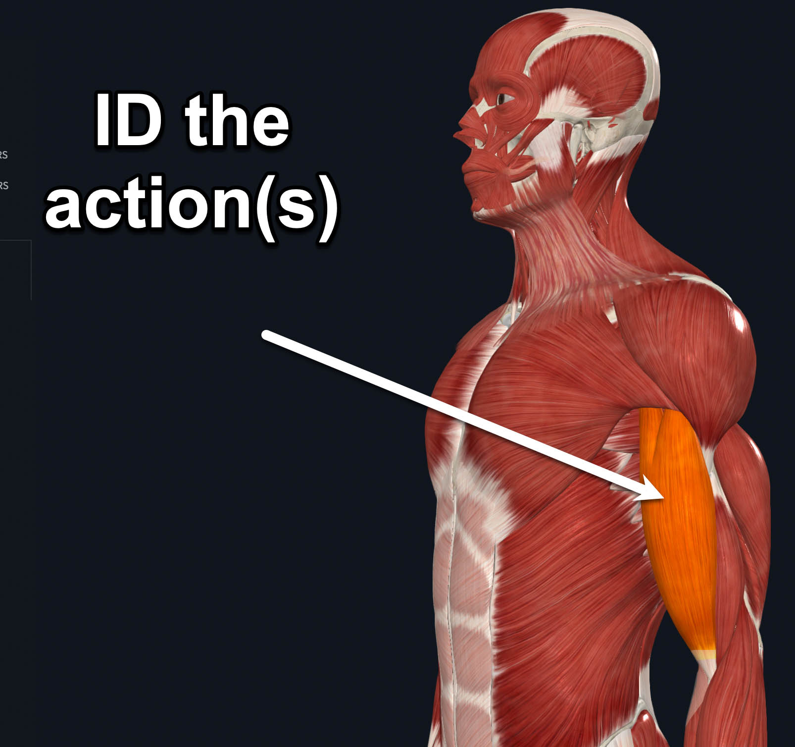 term image
