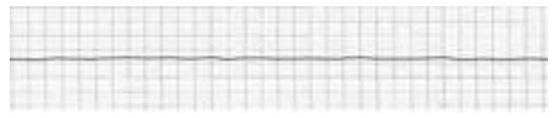 <p>What is this?</p>