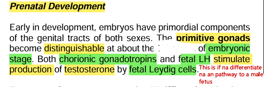 <p><strong><u>Physiological actions: </u></strong><span style="color: yellow;"><strong><u>Pre</u></strong></span><strong><u>natal development</u></strong></p>