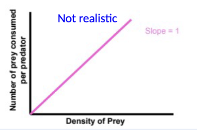<p>rate of consumption per predator is proportional to prey density (constant slope, no satiation)</p>