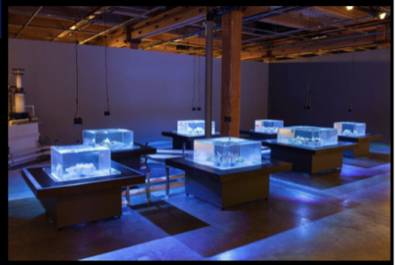 Glenn Kaino, Tank, 2014.