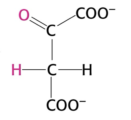 <p>what structure is this?</p>
