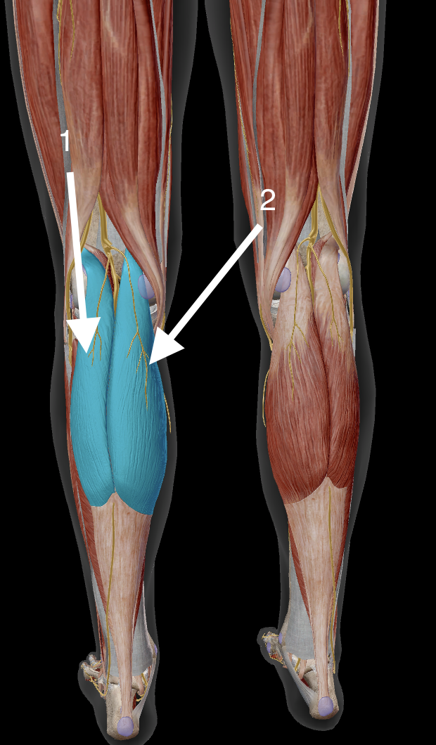 <p>2</p>