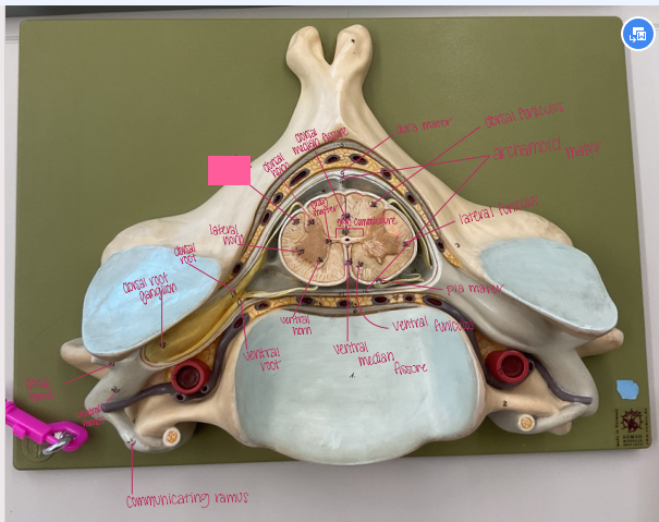 <p>What is being shown? </p>
