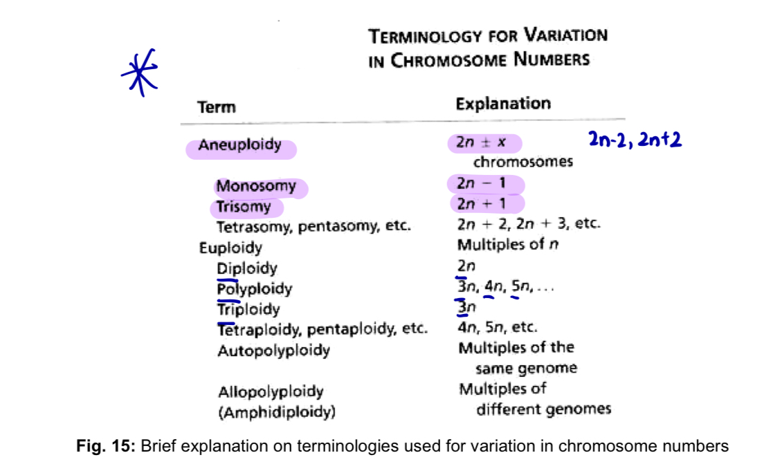 <ul><li><p>addition or loss of one or more chromosomes, addition of one or more haploid sets of chromosomes </p></li></ul><p></p>