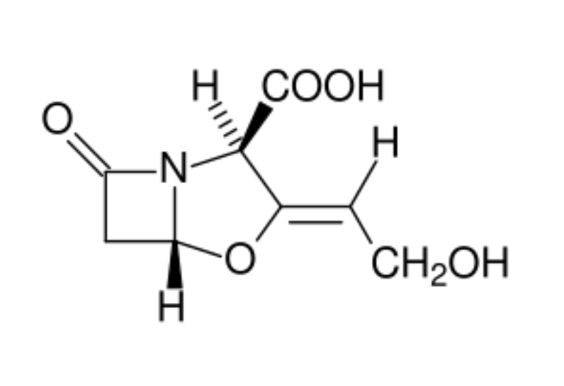 <p>Inhibitor β-laktamaz</p><ul><li><p>wiąże się nieodwracalnie z wieloma β-laktamazami bakterii,</p></li><li><p>działa jako tzw. <strong>„samobójczy inhibitor” β-laktamaz</strong>,</p></li><li><p>chroni antybiotyk β-laktamowy przed enzymatycznym rozkładem,</p></li></ul><p></p>