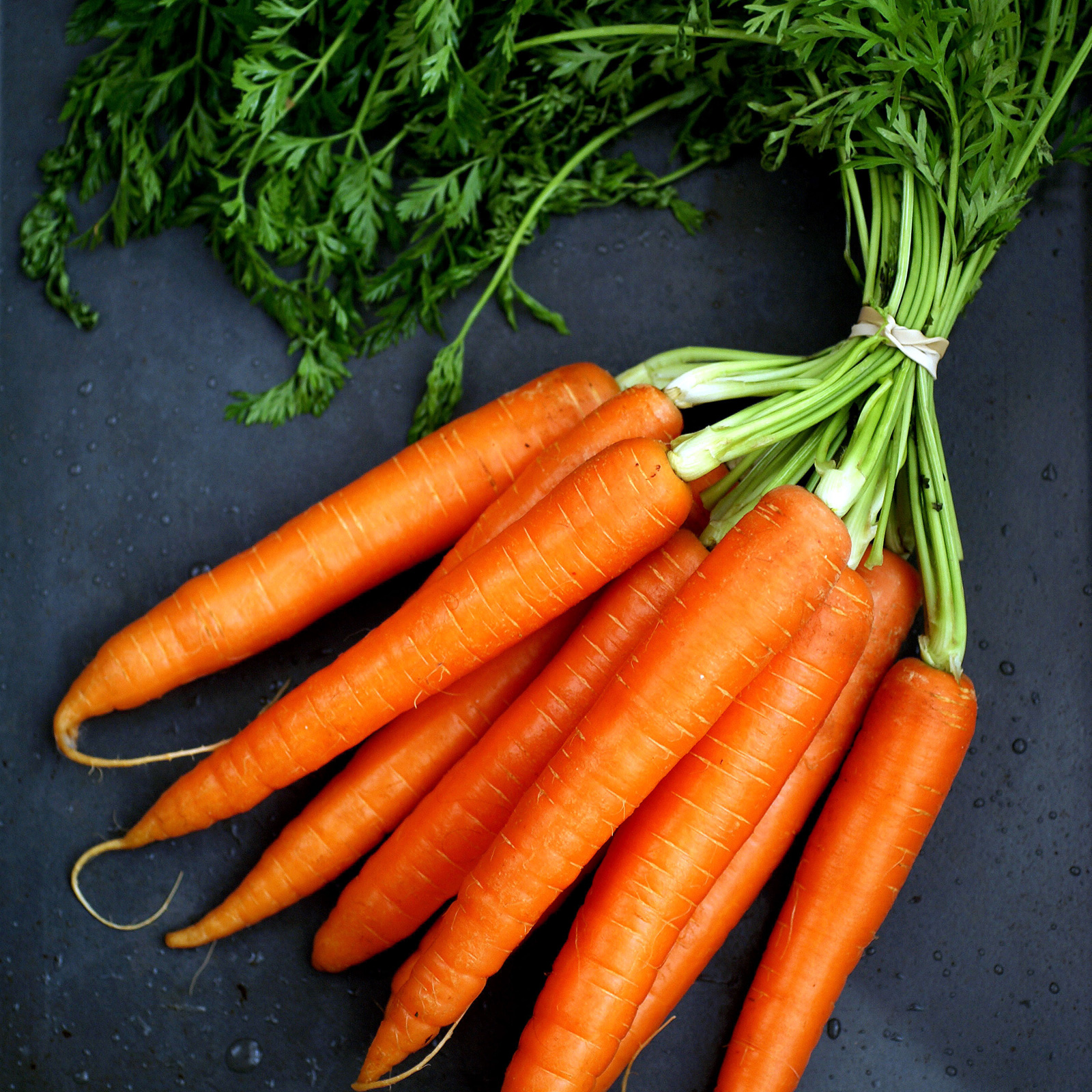<p>carrot</p>