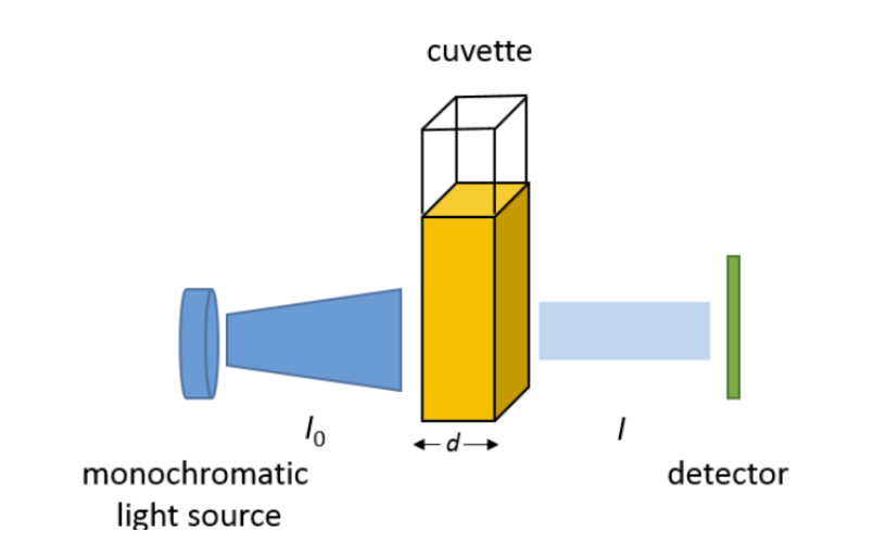 <ul><li><p>light source </p></li><li><p>a monochromator or diffraction grating to select specific wavelengths</p></li><li><p>a sample holder </p></li><li><p>detector</p></li></ul><p></p>