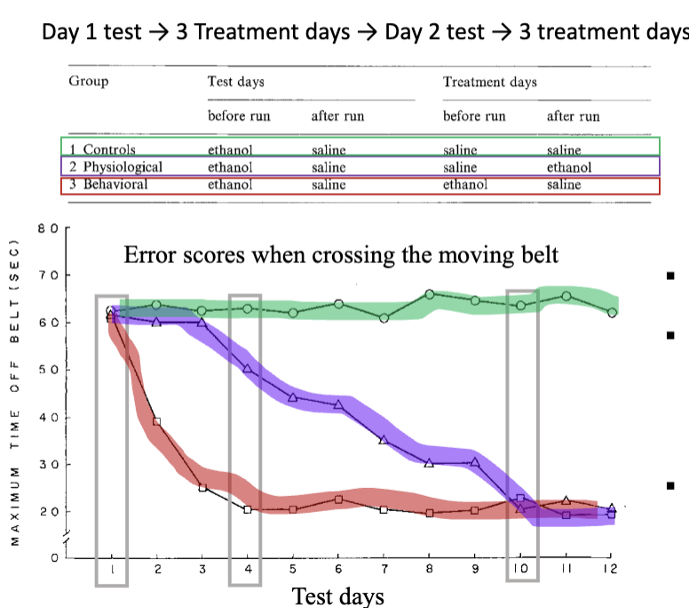 <p>Tolerance to the impairing effects of repeated alcohol consumption developed more rapidly in rats that were trained “under the influence”.</p><p>Initially, ethanol disrupted performance in all rats. Tolerance to impairing effects developed first in the group that received ethanol before training (learned/behavioral tolerance; and PK+PD)</p><p>Tolerance developed later in rats that received ethanol after training (PK+PD tolerance only).</p><p></p>