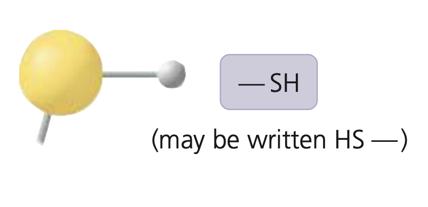 <p>−SH</p>