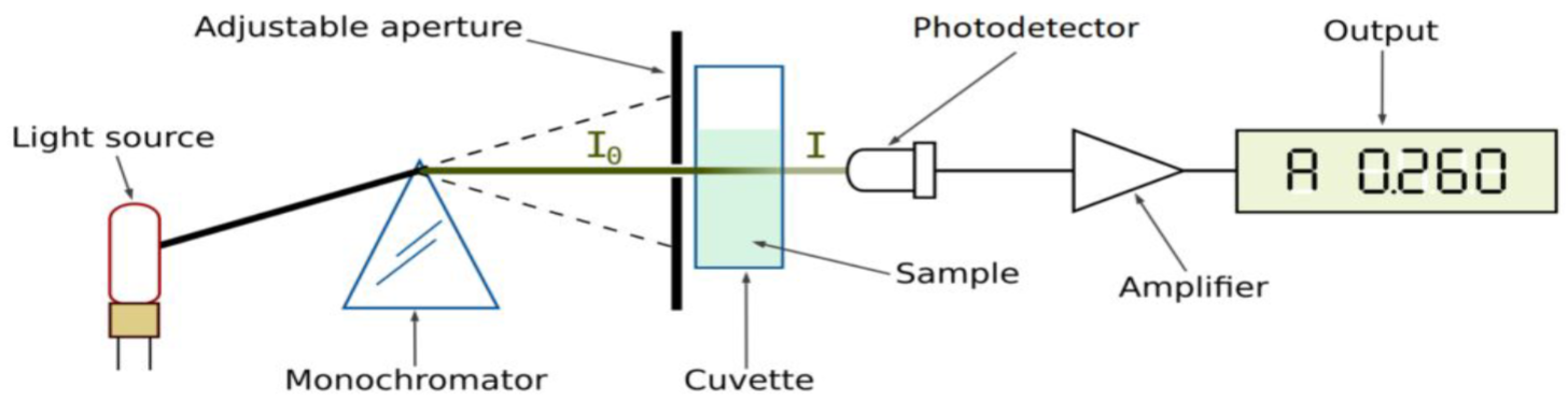 <ul><li><p>light source</p></li><li><p>monochromator</p><ul><li><p>isolates individual wavelengths of light (like a prism)</p></li></ul></li><li><p>cuvette</p><ul><li><p>contains the patient sample or QC</p></li></ul></li><li><p>photodetector</p><ul><li><p>converts light energy into electrical energy</p></li></ul></li><li><p>amplifier</p><ul><li><p>amplifies low electrical energy readings</p></li></ul></li><li><p>output</p><ul><li><p>energy value (result)</p></li></ul></li></ul><p></p>