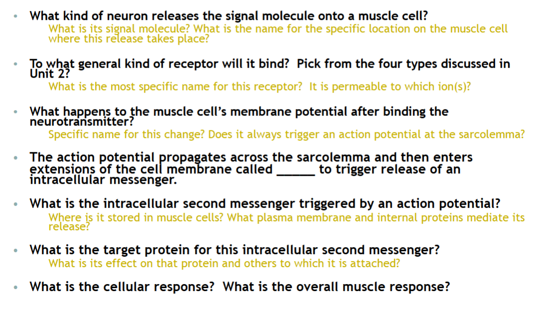 <p>Concept check</p>
