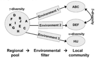 <p>What does this graph show?</p>