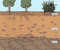 <p>Continuous mass of solid rock from the Earth's crust</p>