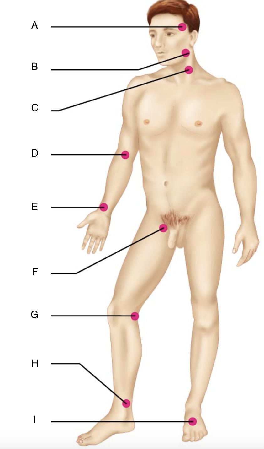 <p>Label A</p>