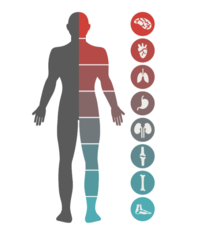 <p>What is a Disease?</p>