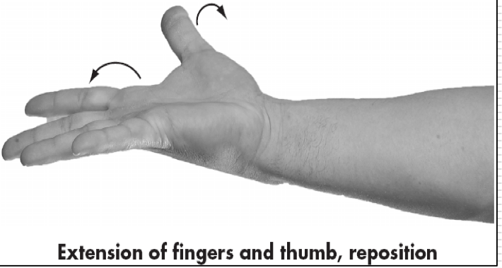 <p>Movement of thumb as it returns to anatomical position from opposition with palm and/or fingers </p>